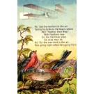 Wright Biplane and Birds Poem