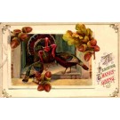 Winsch Turkey Thanksgiving Novelty