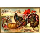 Winsch Turkeys Pumpkin Novelty