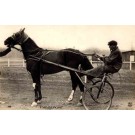 Harness Racer Sports Real Photo